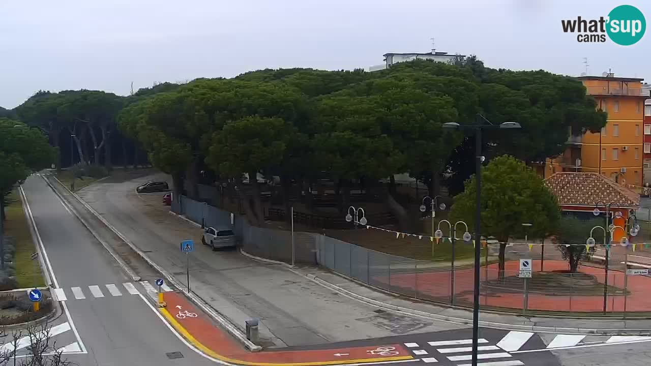 Livecam Rosolina mare