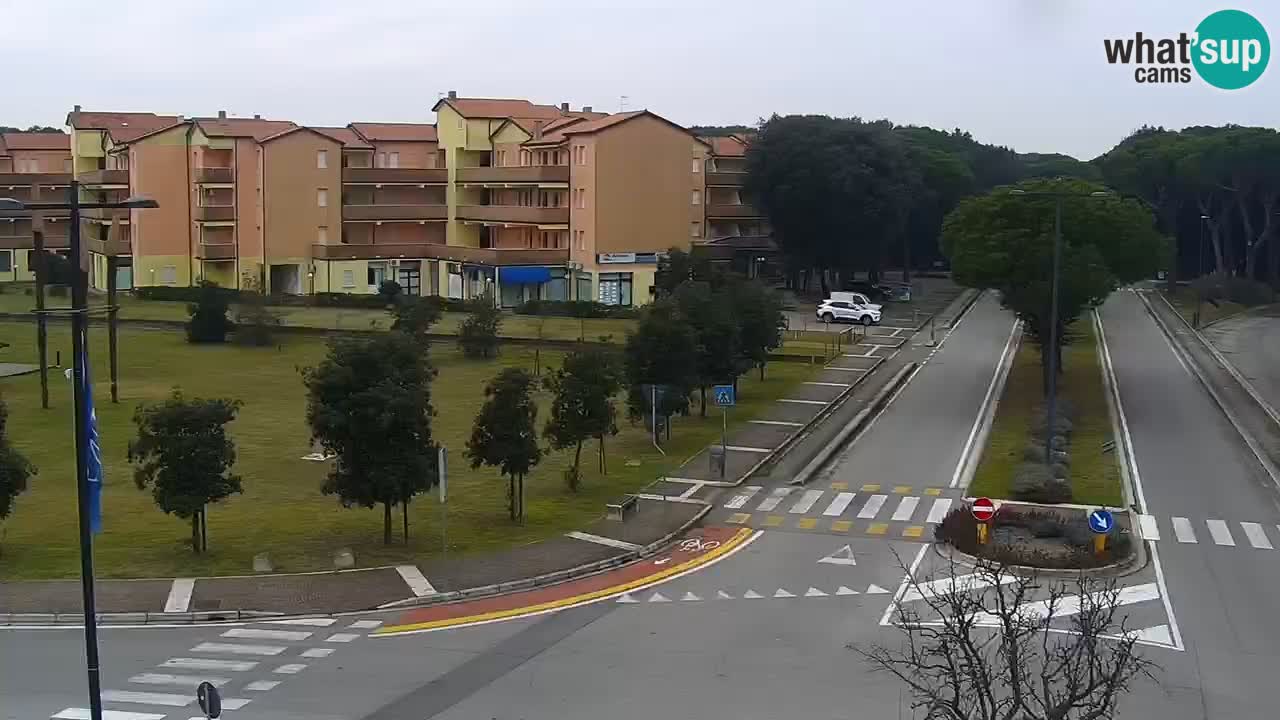 Livecam Rosolina mare