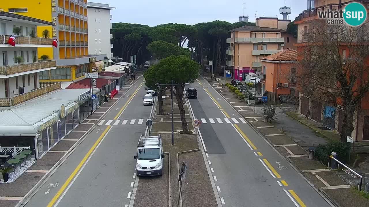 Livecam Rosolina mare
