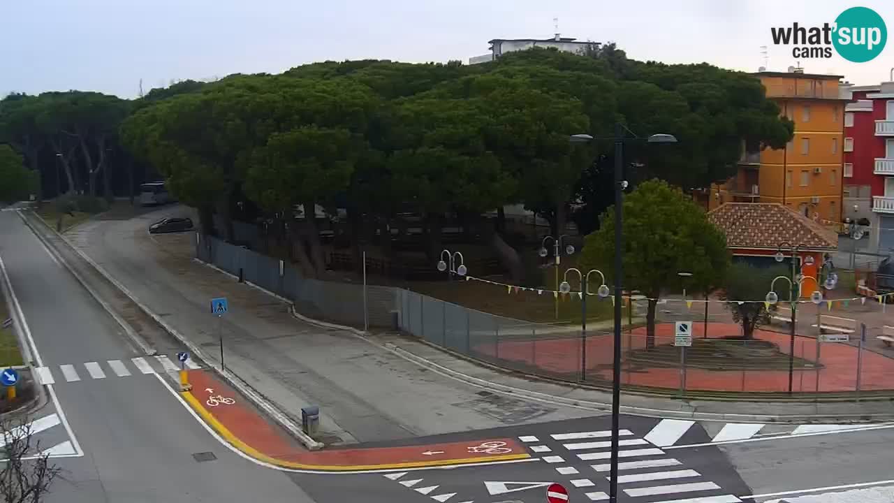 Camera en vivo Rosolina mare