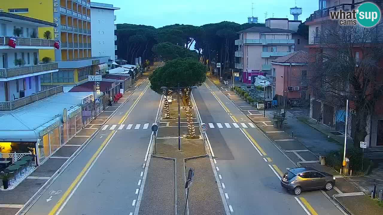 Camera en vivo Rosolina mare