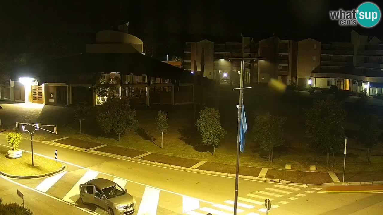 Camera en vivo Rosolina mare