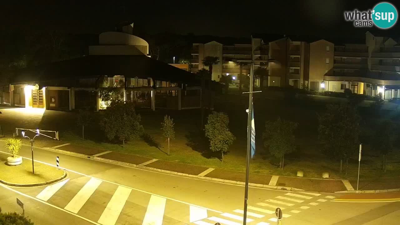 Camera en vivo Rosolina mare