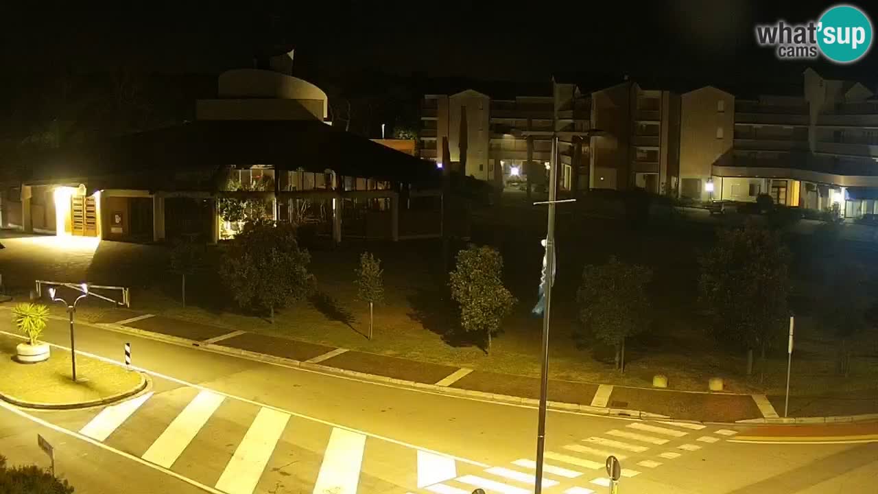 Livecam Rosolina mare