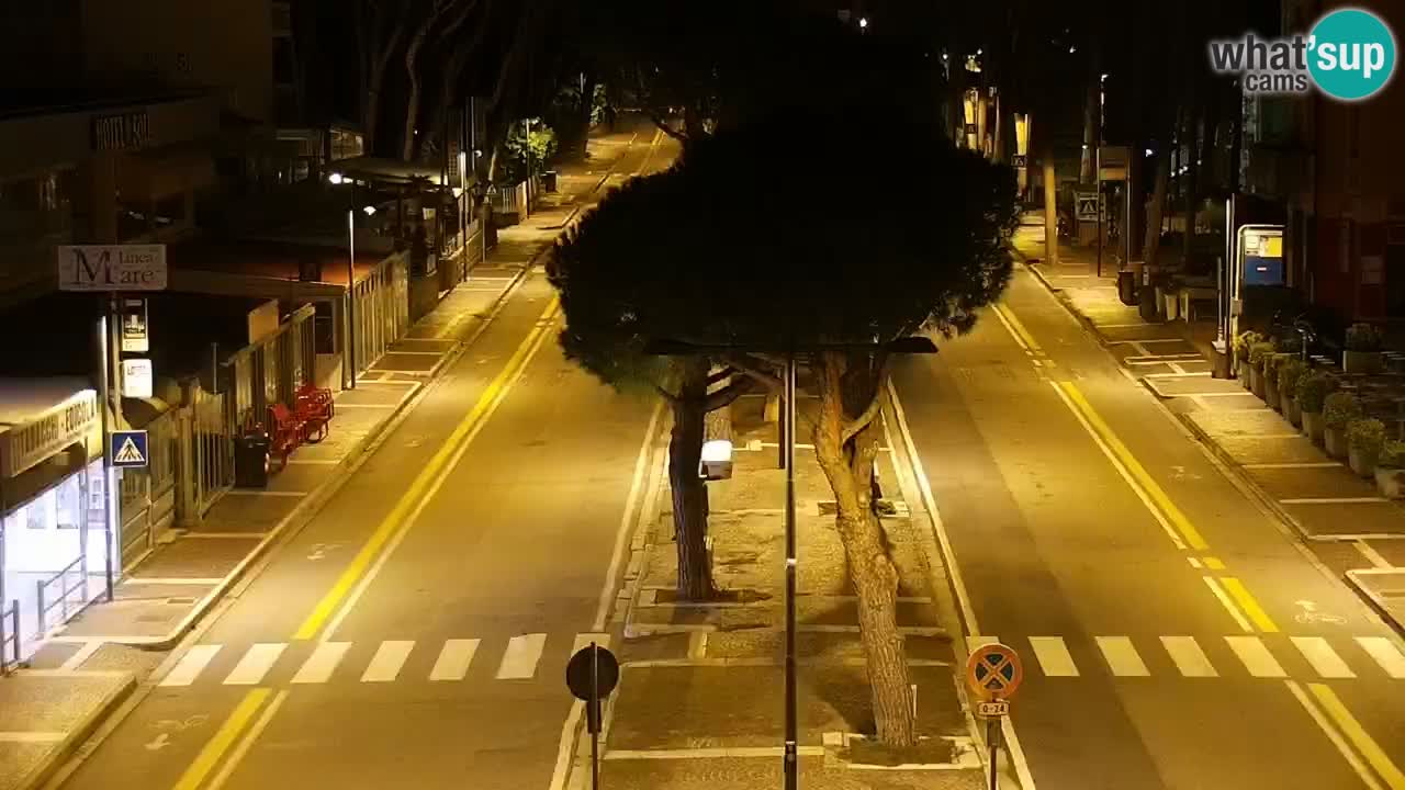 Livecam Rosolina mare