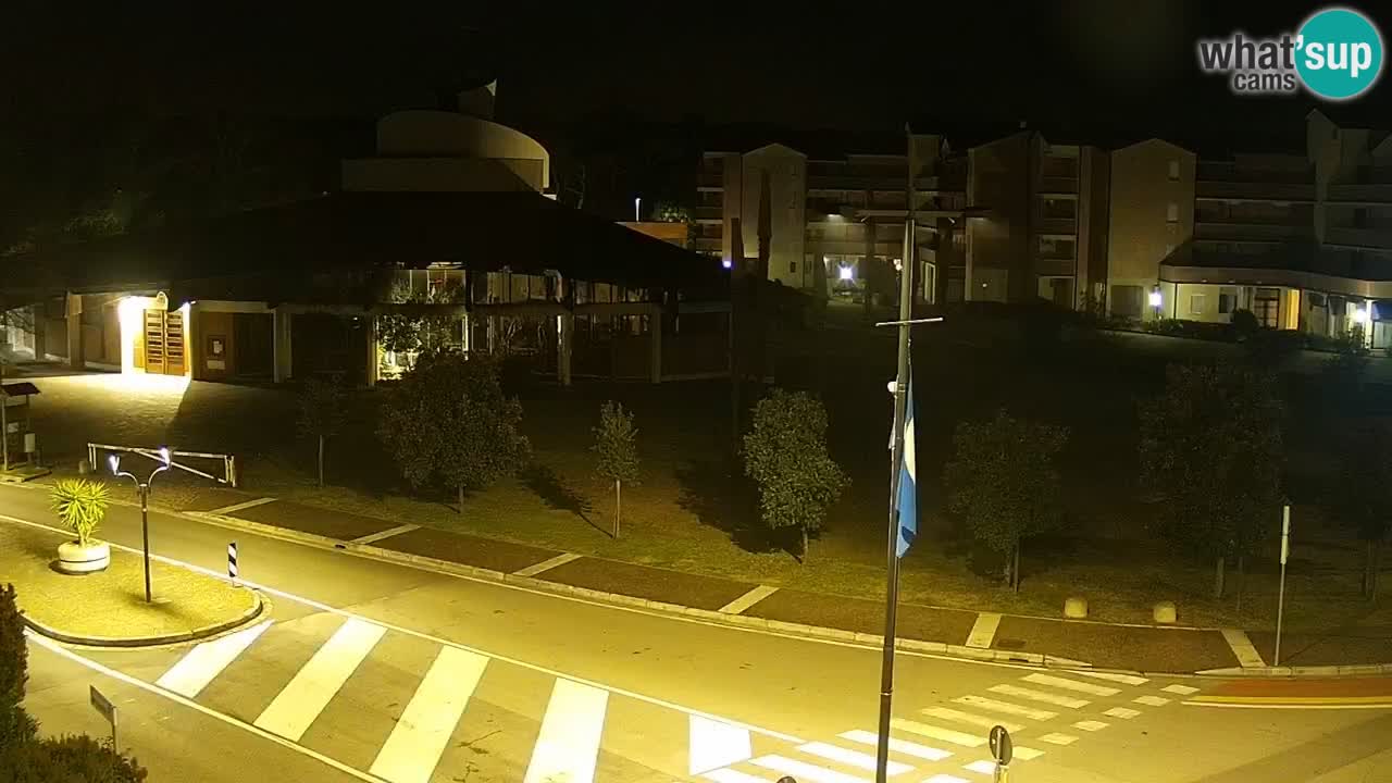 Livecam Rosolina mare