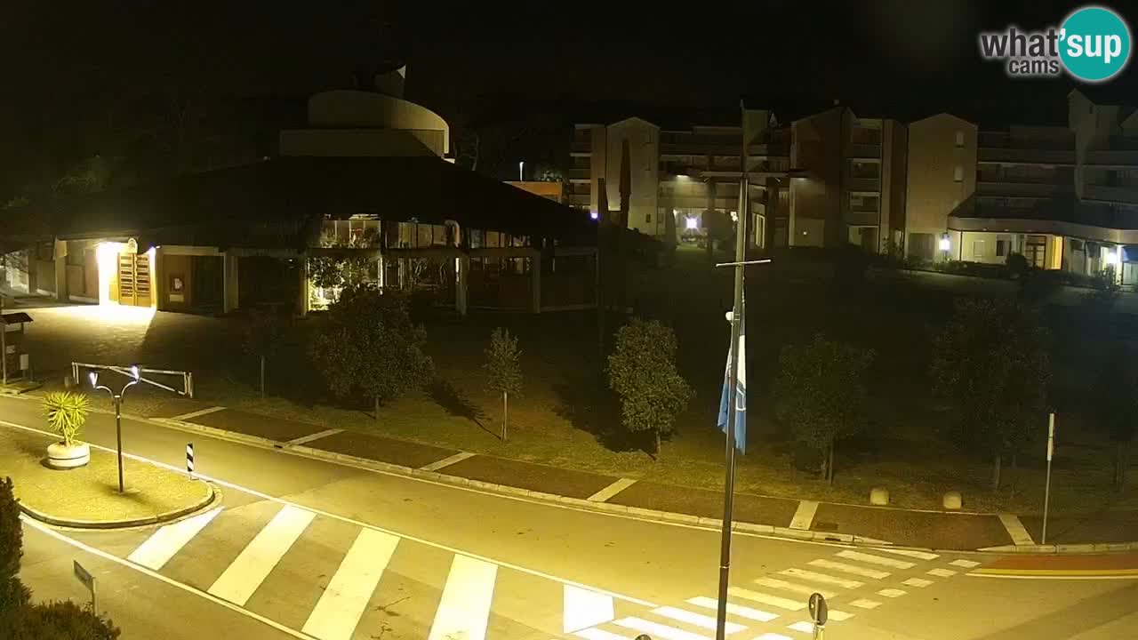 Camera en vivo Rosolina mare