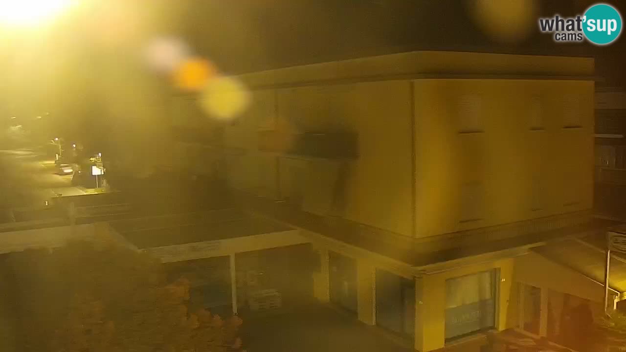 Camera en vivo Rosolina mare