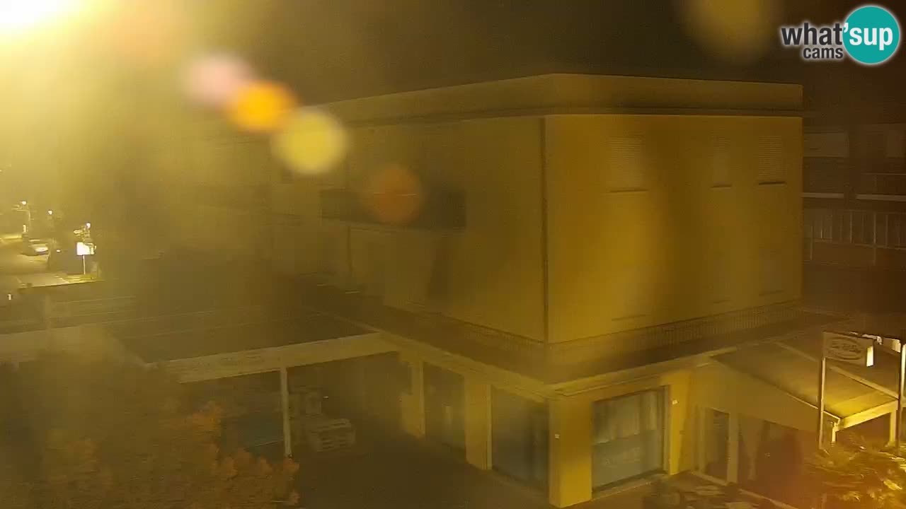 Camera en vivo Rosolina mare