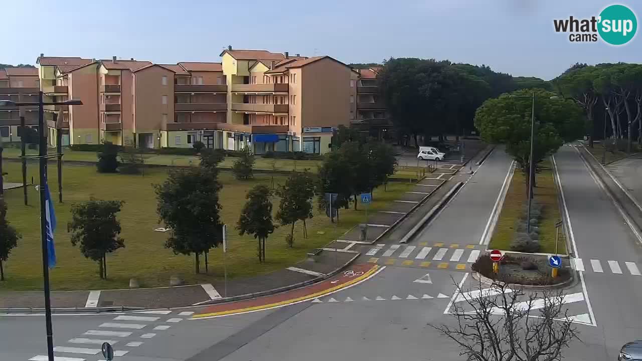 Livecam Rosolina mare