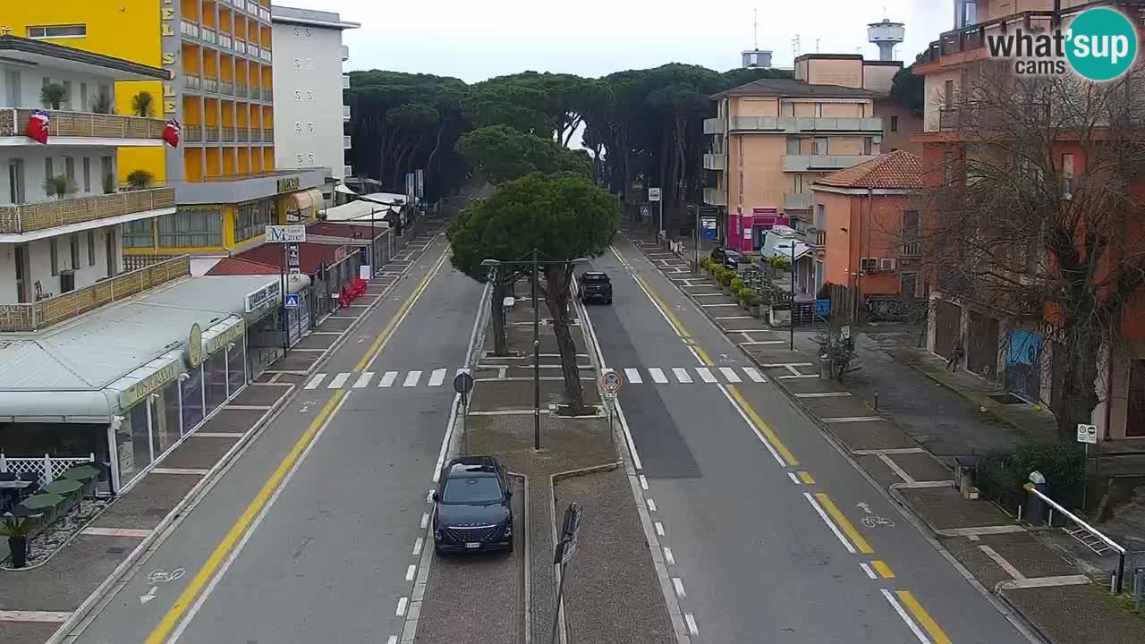 Camera en vivo Rosolina mare