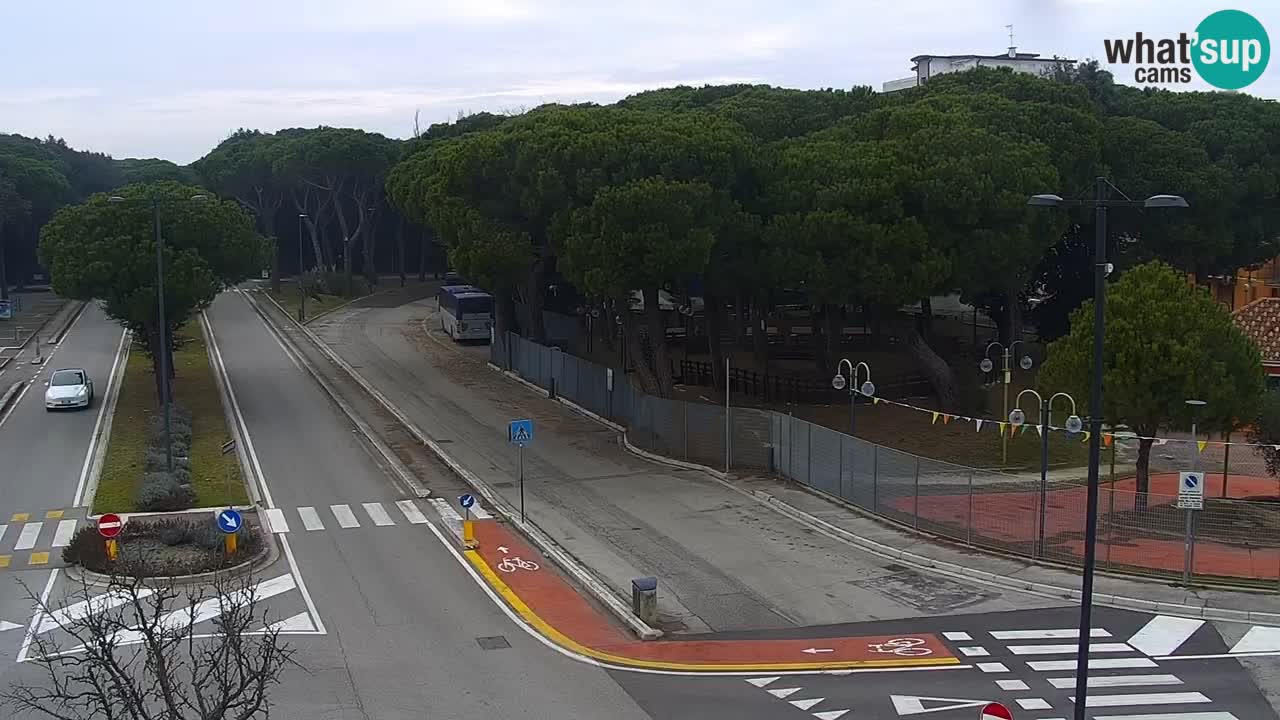 Livecam Rosolina mare