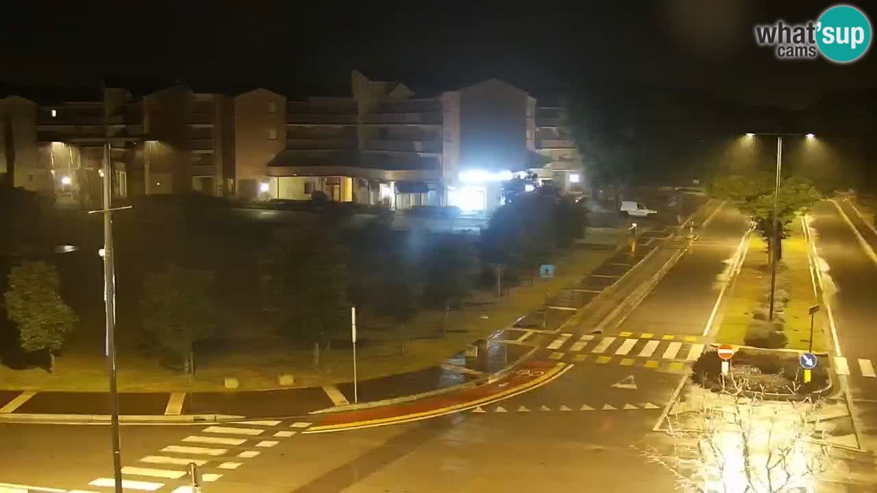 Livecam Rosolina mare