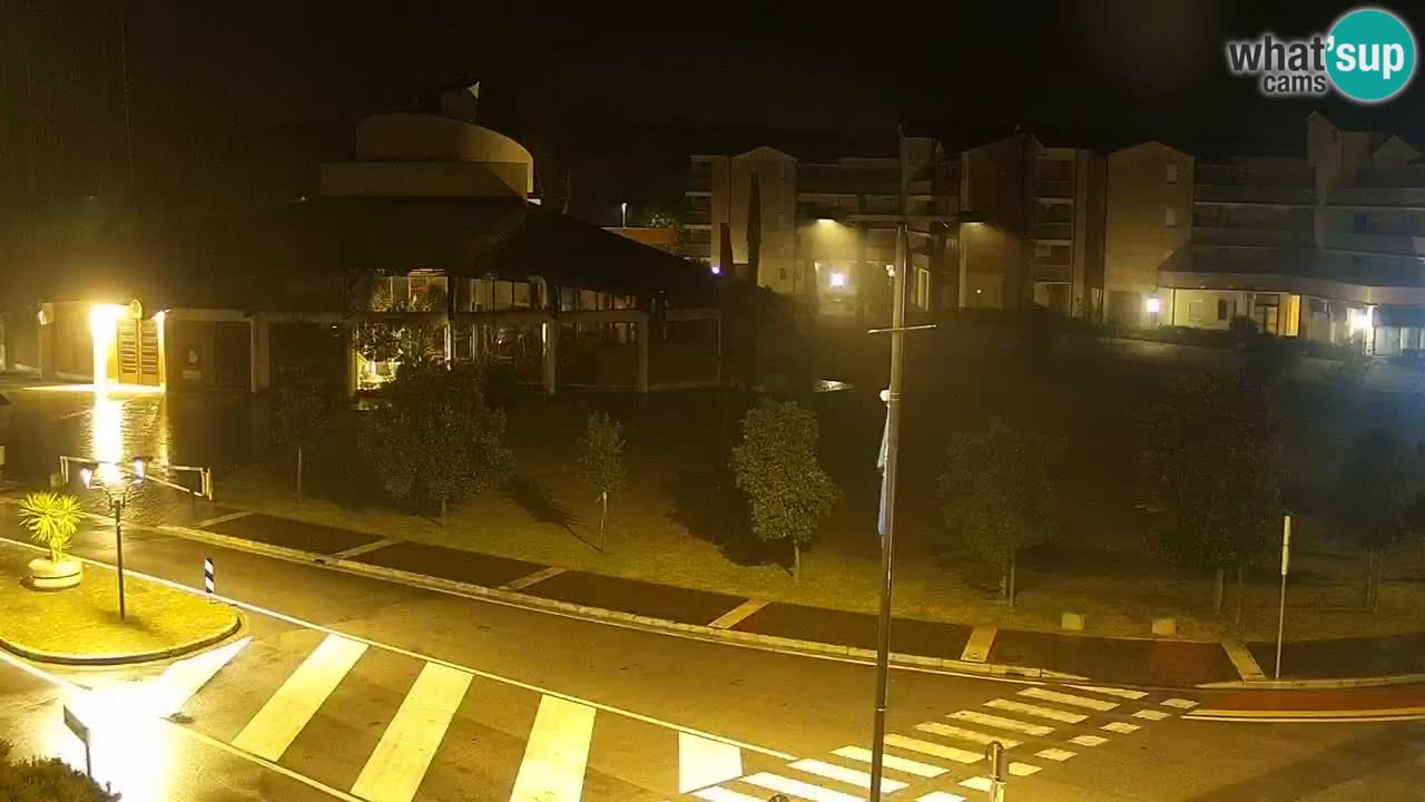 Camera en vivo Rosolina mare