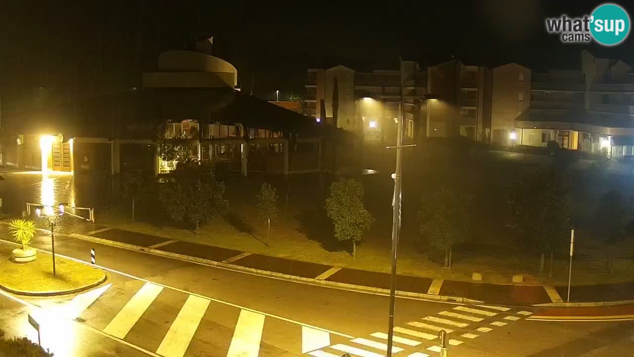 Livecam Rosolina mare