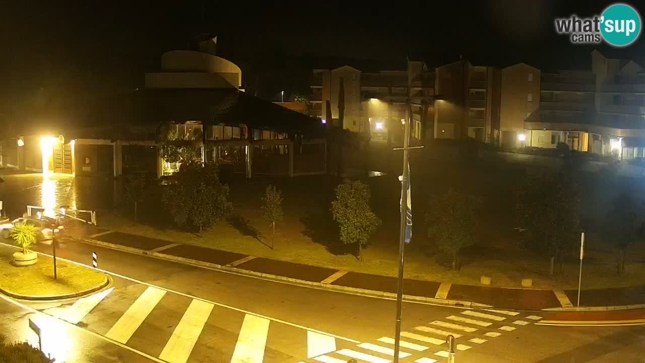 Livecam Rosolina mare