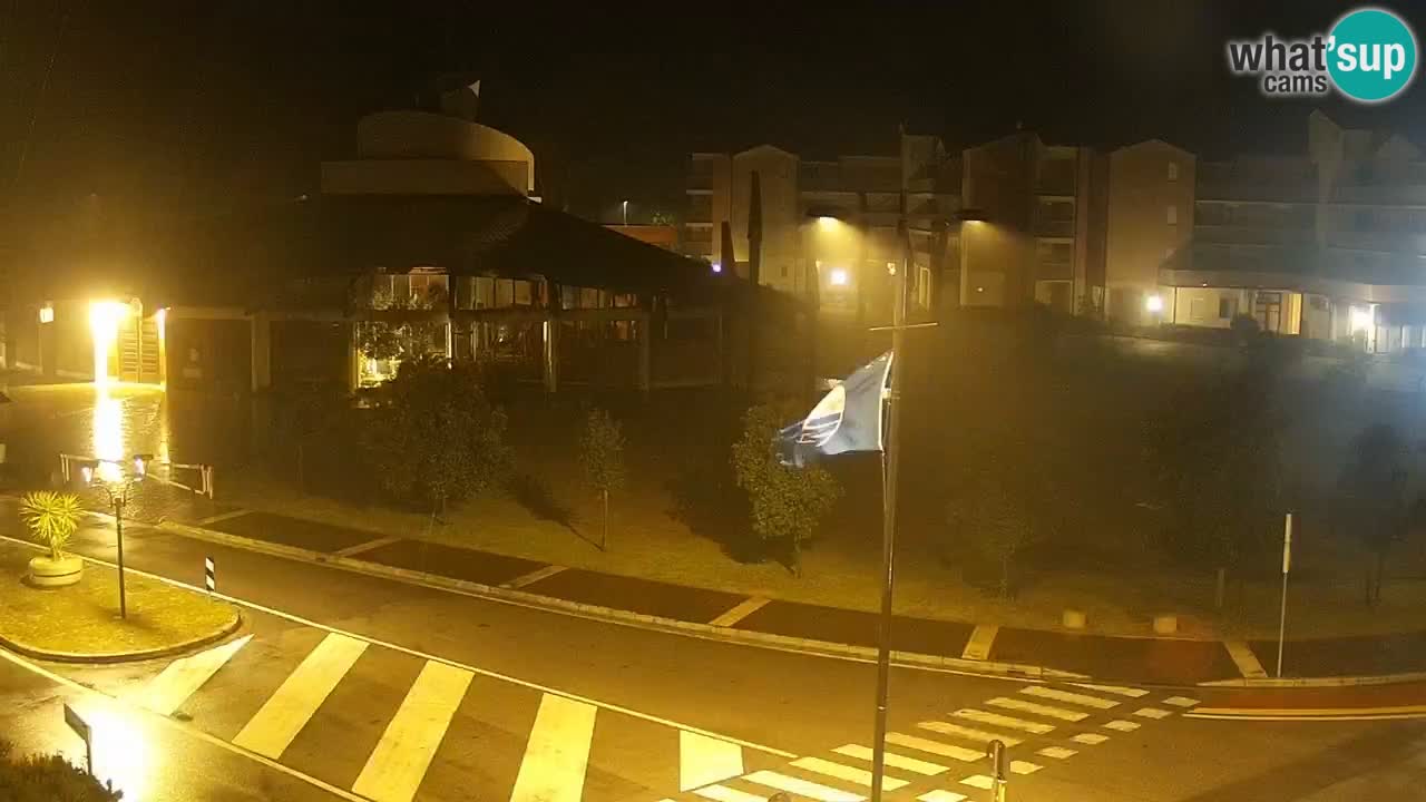 Camera en vivo Rosolina mare