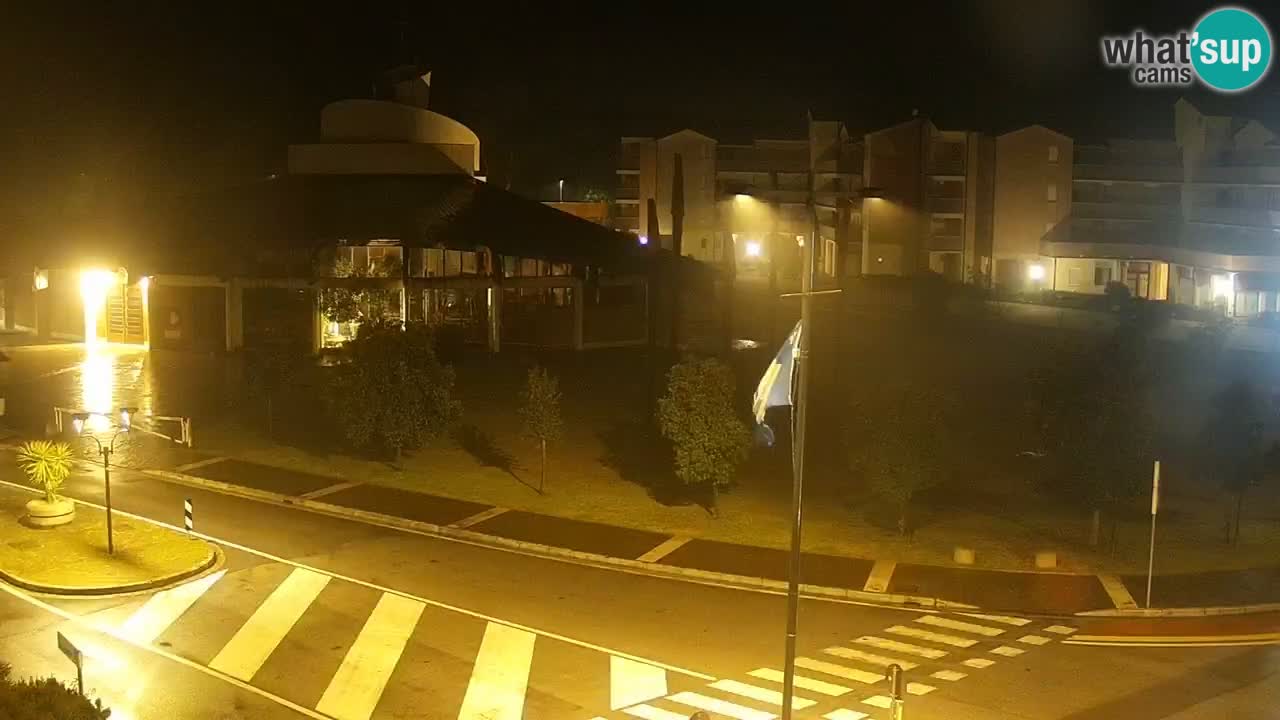 Livecam Rosolina mare