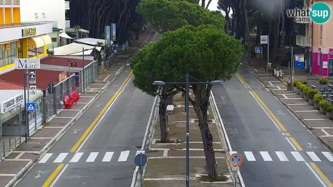 Web kamera Rosolina mare