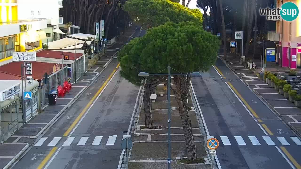 Livecam Rosolina mare