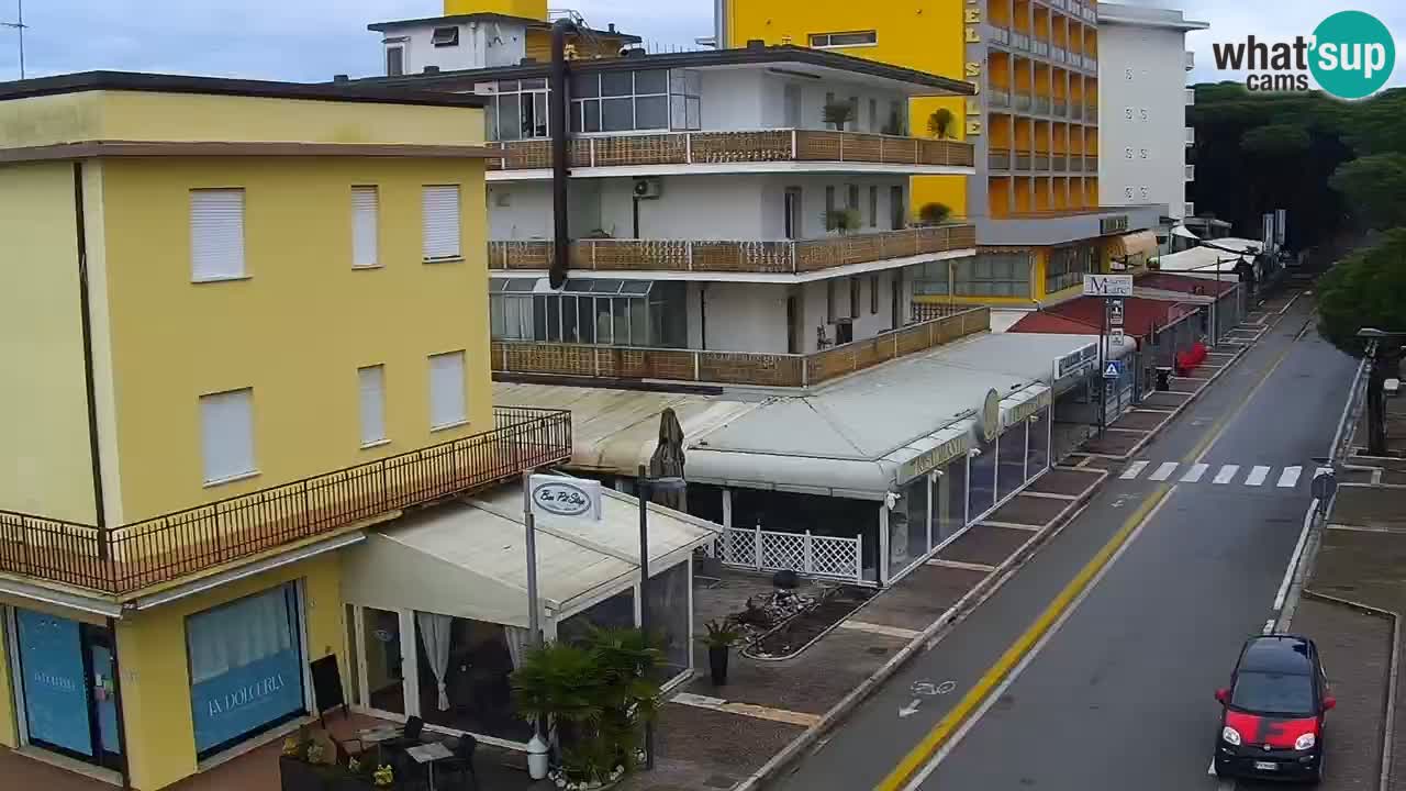 Livecam Rosolina mare