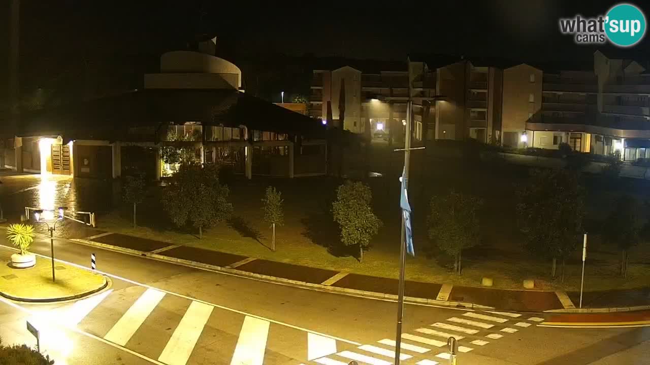 Camera en vivo Rosolina mare