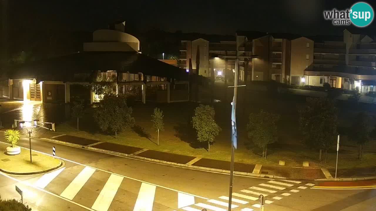 Camera en vivo Rosolina mare