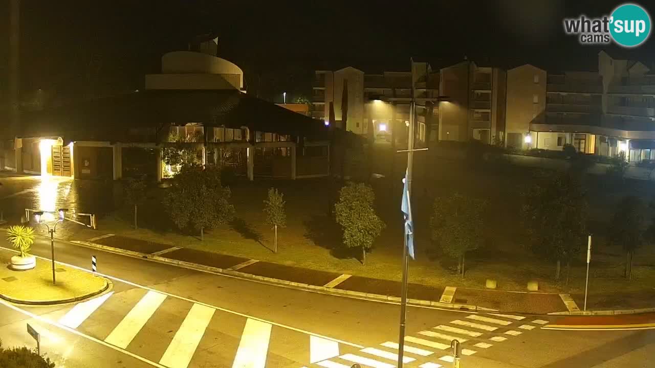 Camera en vivo Rosolina mare