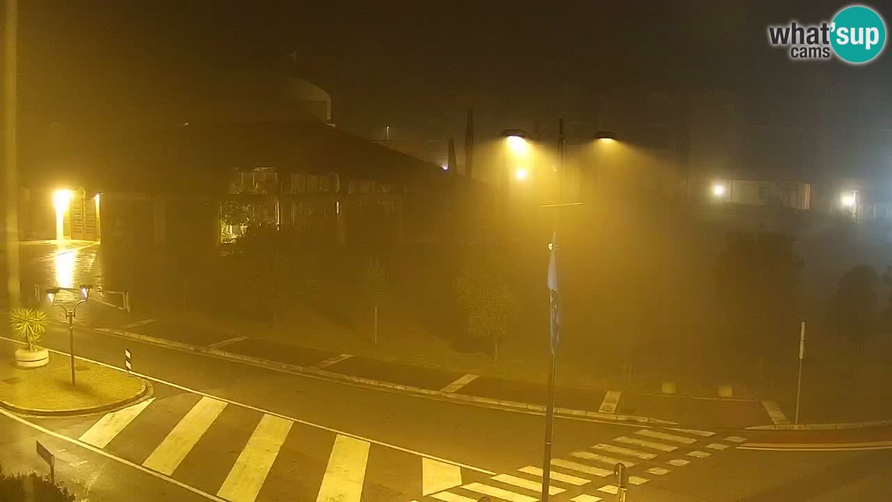 Camera en vivo Rosolina mare