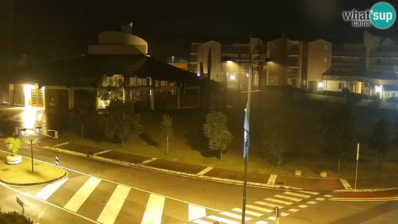 Camera en vivo Rosolina mare