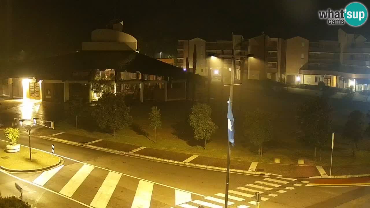 Camera en vivo Rosolina mare