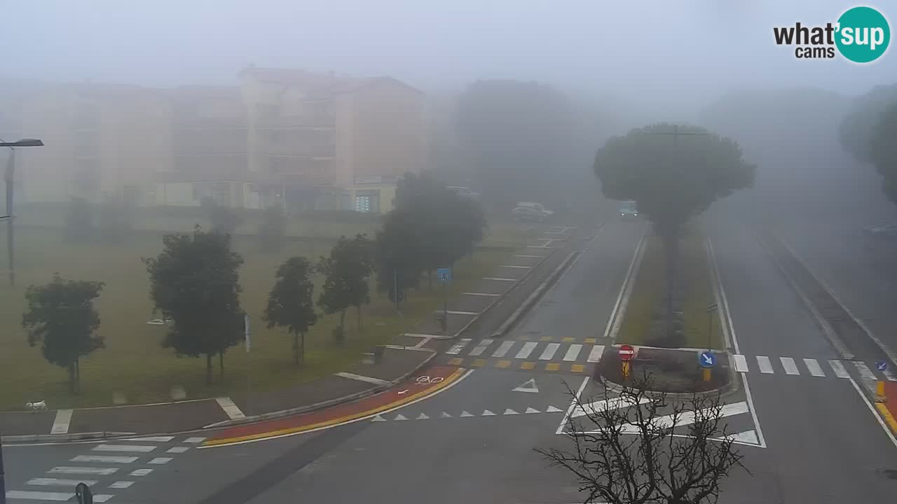 Web kamera Rosolina mare