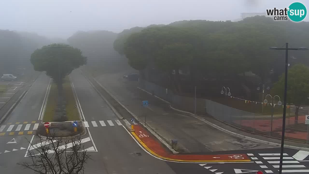 Camera en vivo Rosolina mare