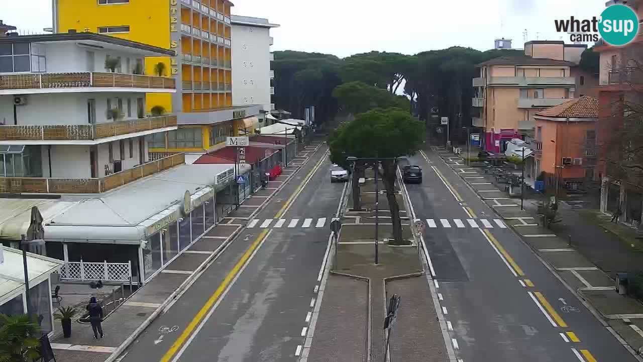 Web kamera Rosolina mare