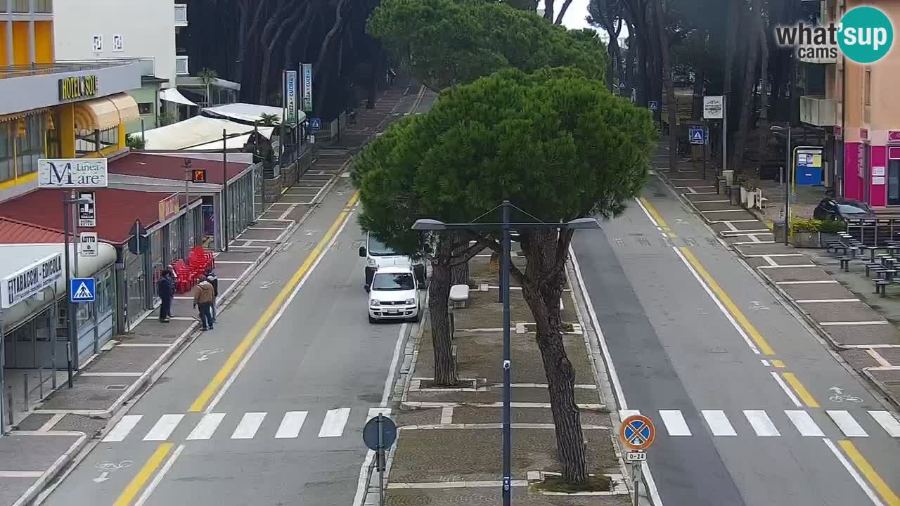 Camera en vivo Rosolina mare