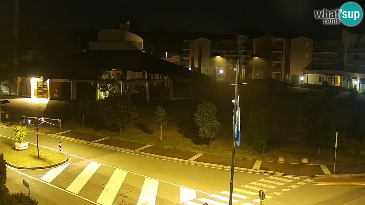 Camera en vivo Rosolina mare