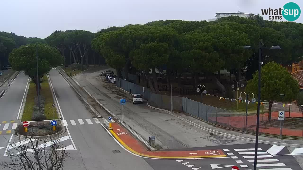 Livecam Rosolina mare