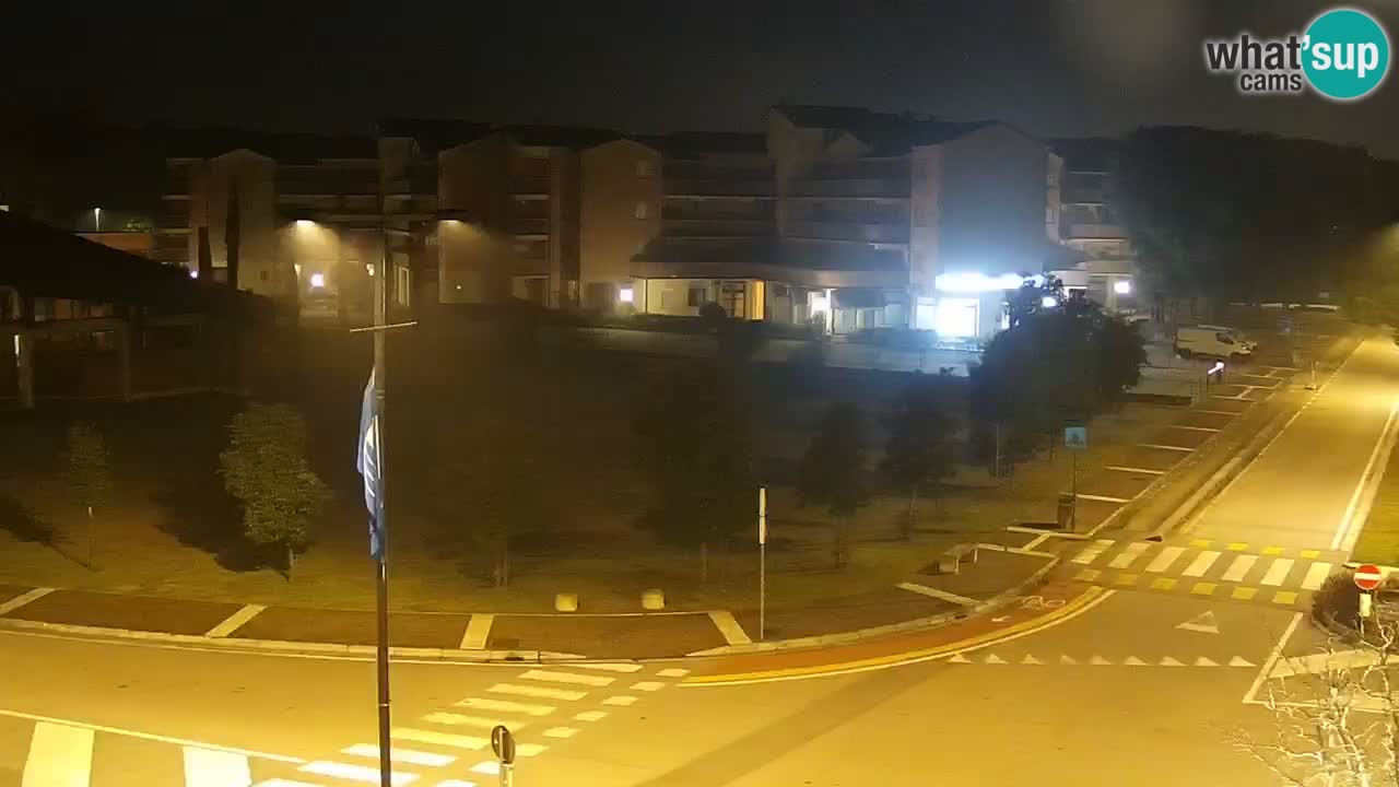 Camera en vivo Rosolina mare