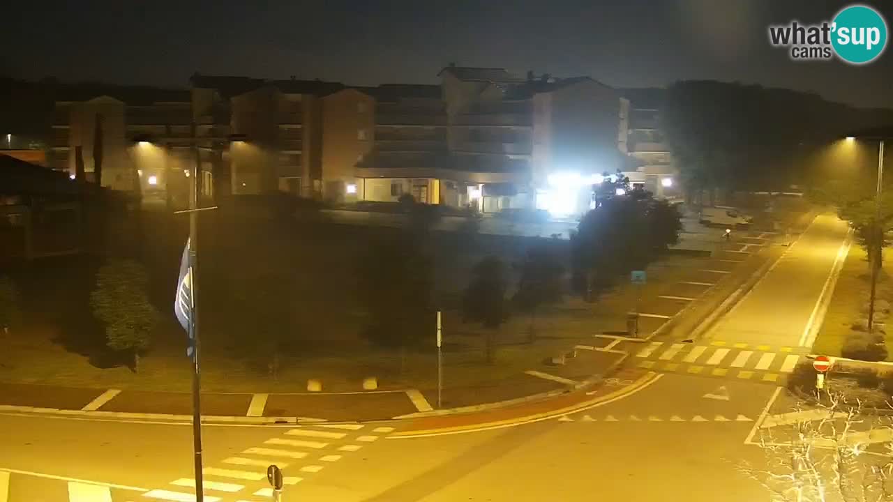 Livecam Rosolina mare