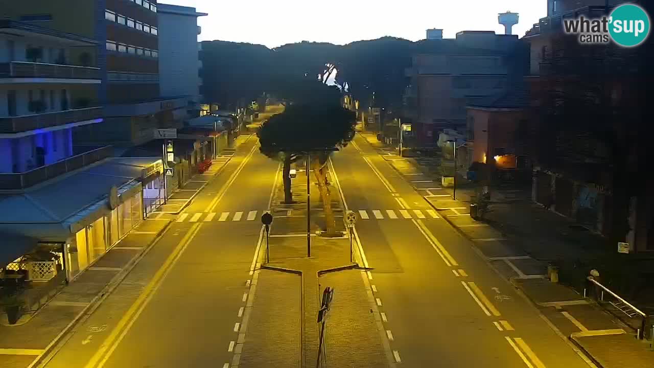 Camera en vivo Rosolina mare