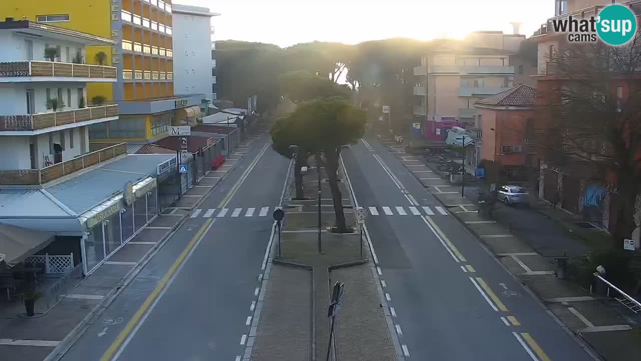 Camera en vivo Rosolina mare