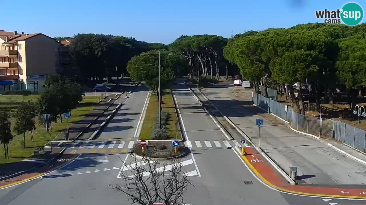 Camera en vivo Rosolina mare