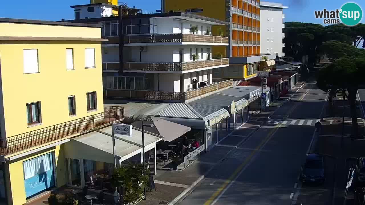 Livecam Rosolina mare