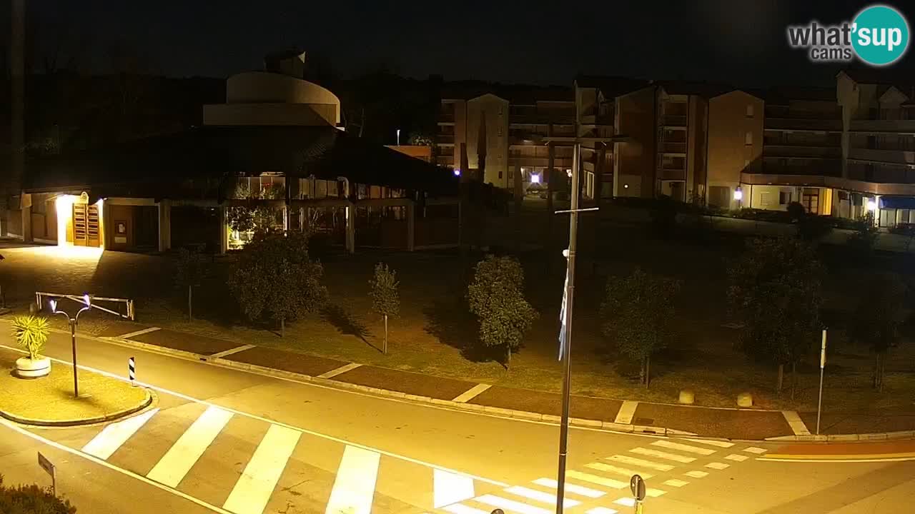 Camera en vivo Rosolina mare