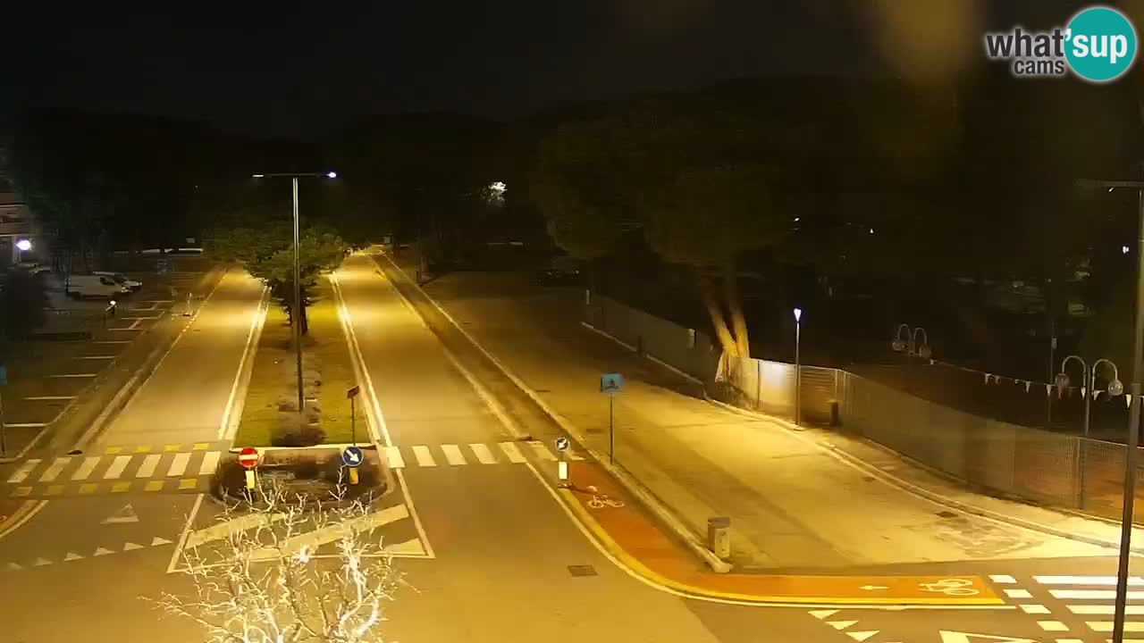 Camera en vivo Rosolina mare