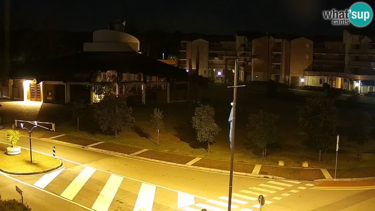 Livecam Rosolina mare