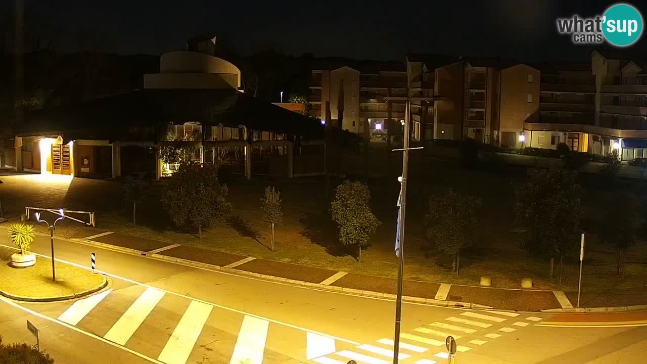 Camera en vivo Rosolina mare