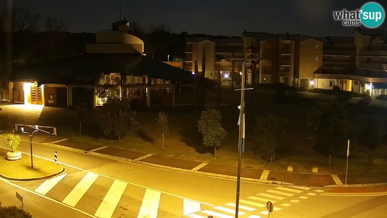 Camera en vivo Rosolina mare