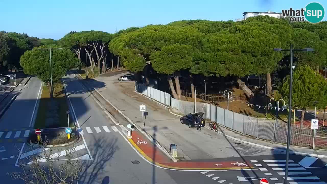 Camera en vivo Rosolina mare