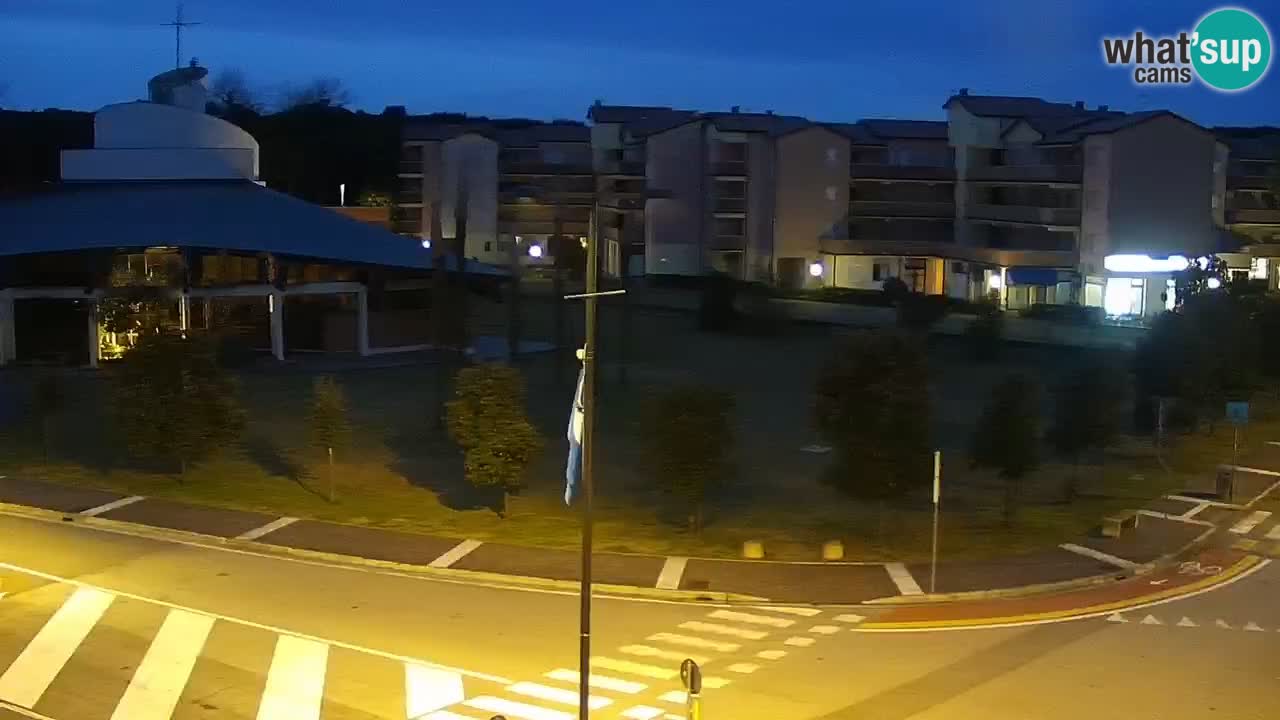 Livecam Rosolina mare